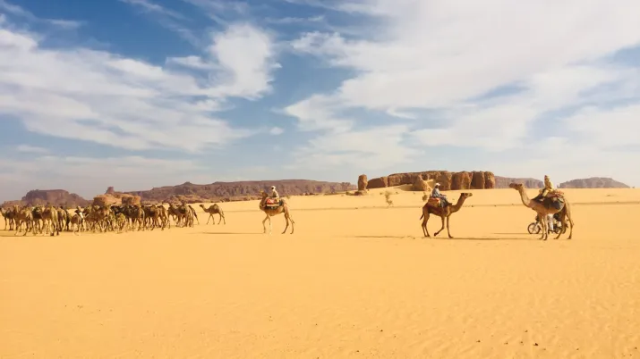 désert, chameaux, paysage, Tchad