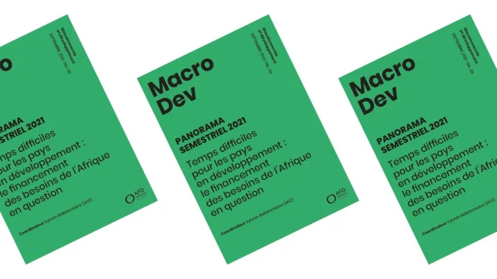 MacroDev
