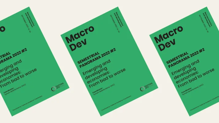 MacroDev Panorama