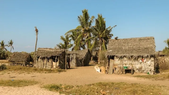 WWF Madagascar