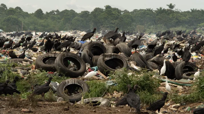 Déchets Suriname