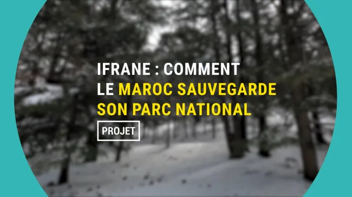 Parc national maroc