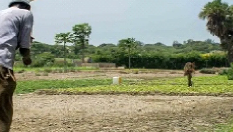 AMOPAR
