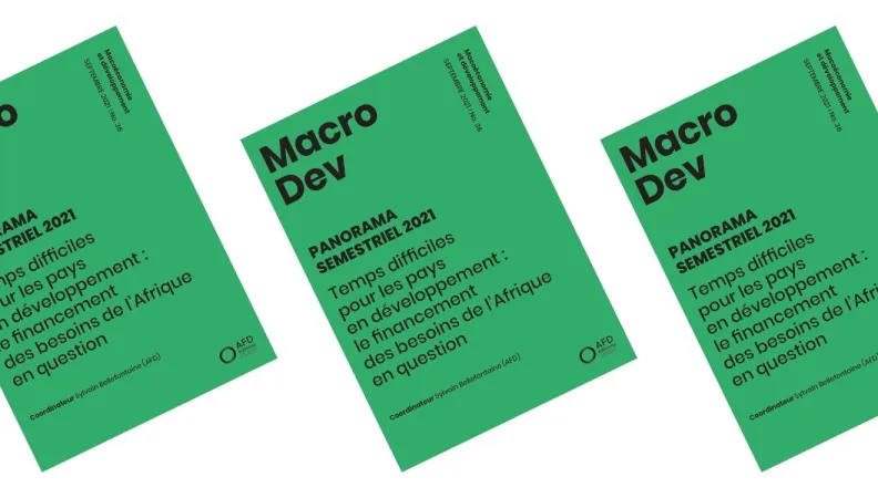 MacroDev