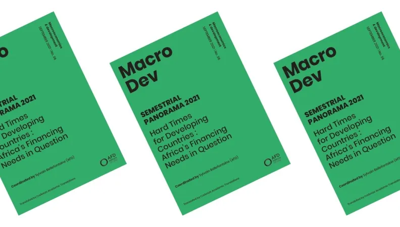 MacroDev