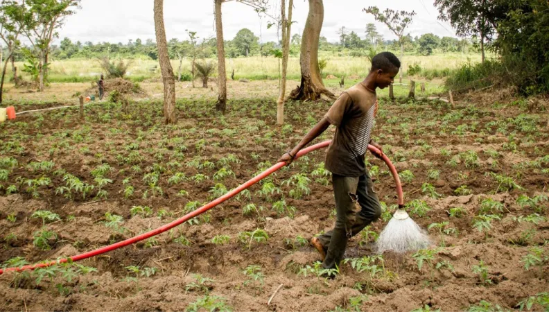 Agriculture Afrique