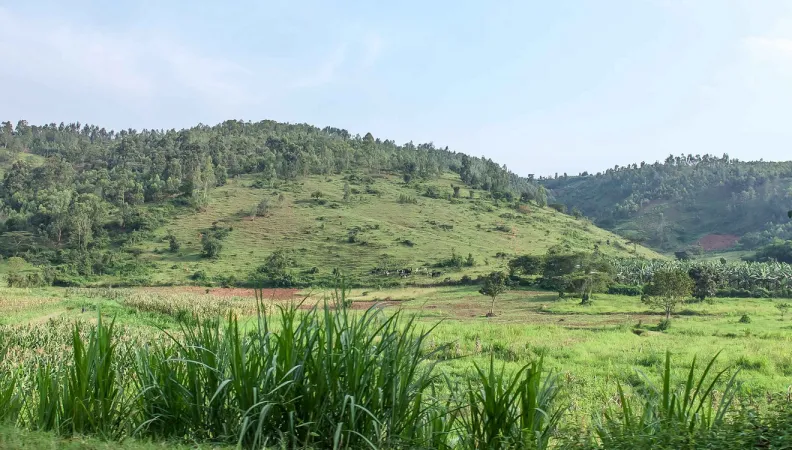 Rwanda