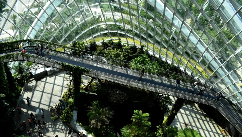 Intérieur bâtiment végétalisé