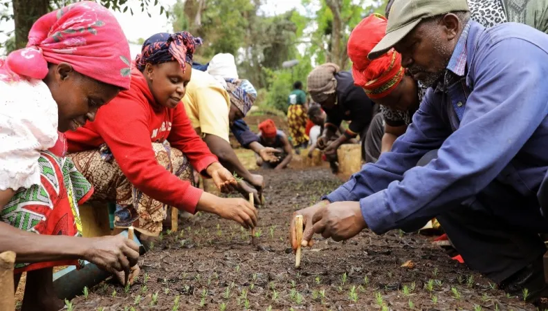 In Kenya, the Aberdares and Mau forests, Nairobi's main water sources were heavily threat-ened before being rehabilitated 